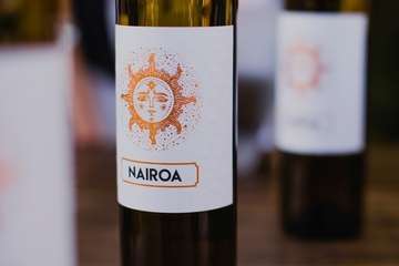 IV Cata Solidaria de Vinoteca San Juan (Foto TA)